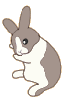 Another Rabbit